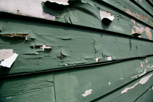 Best Same-Day Junk Removal Services  in Whitinsville, MA