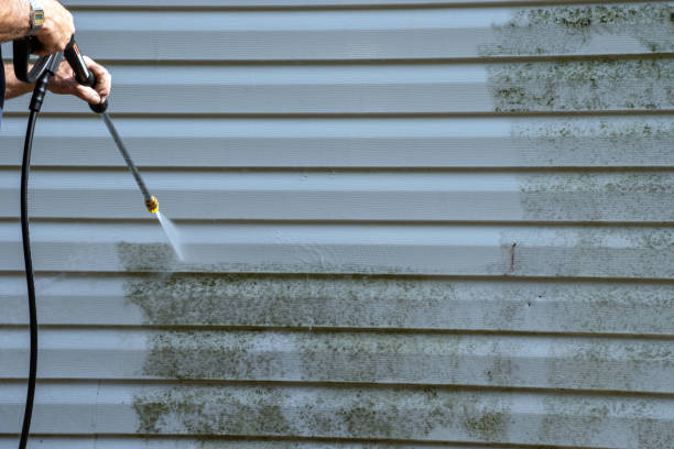 Best Scrap Metal Removal  in Whitinsville, MA
